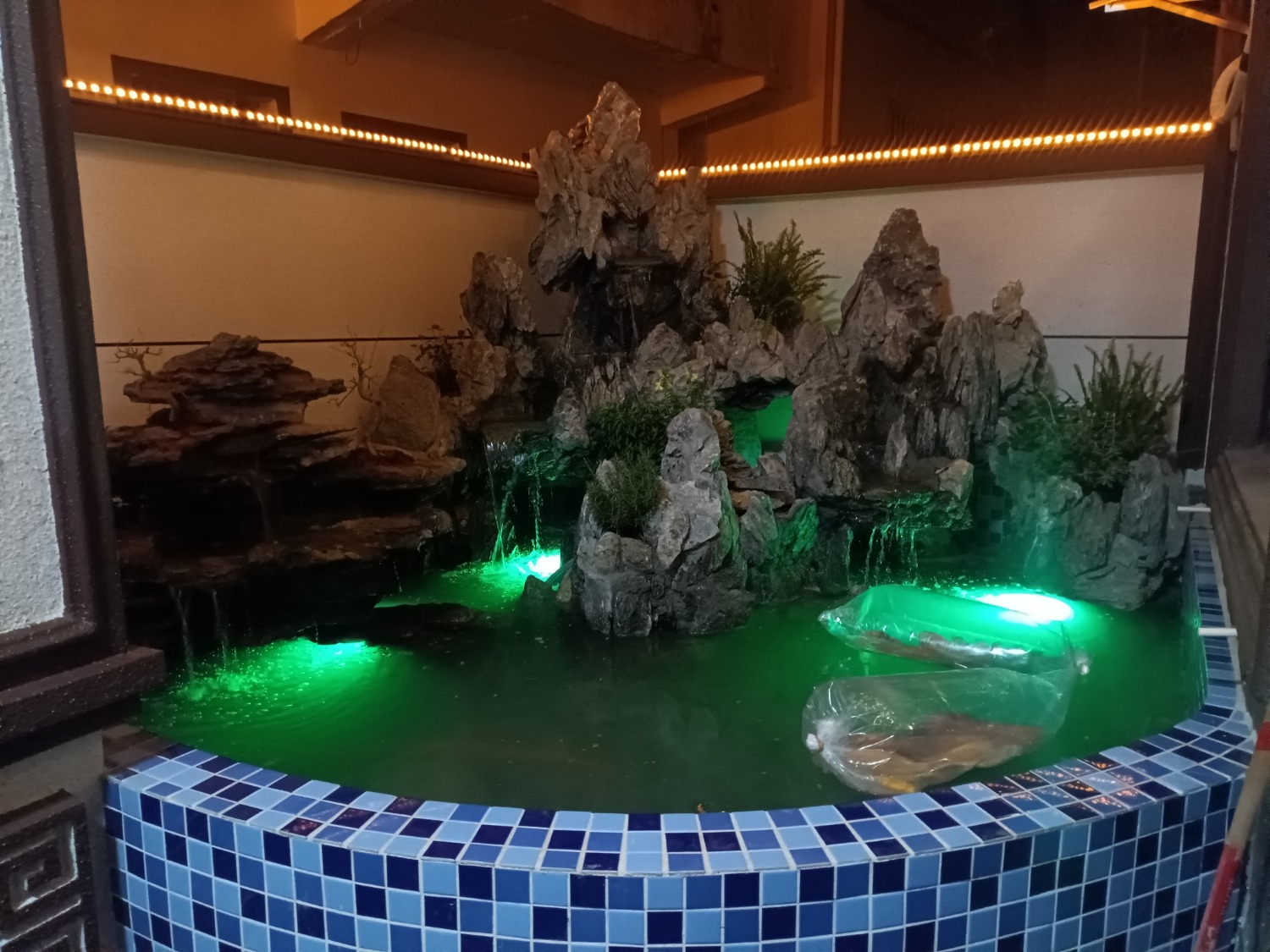 IMG_20260203_183130.jpg