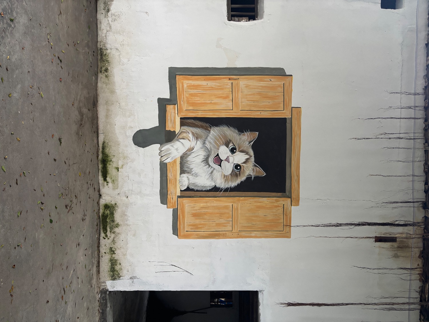 IMG_0338.jpeg